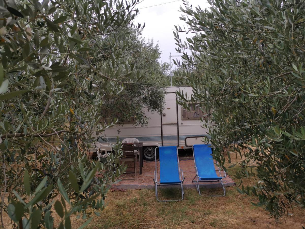 Jacuzi Cottage In The Olive Grove Pula Exterior foto