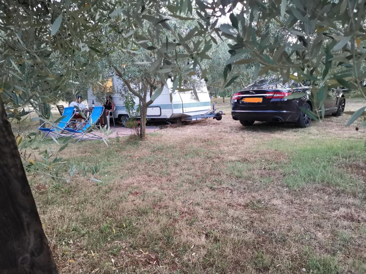 Jacuzi Cottage In The Olive Grove Pula Exterior foto